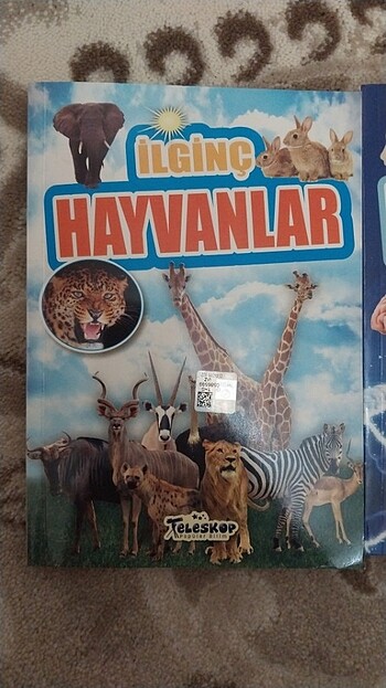  İlginç hayvanlar- ilginç beynimiz 
