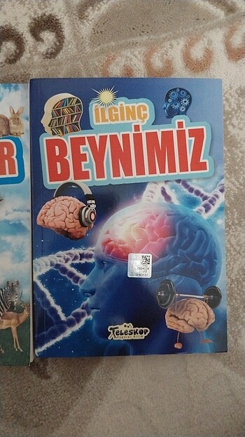  Beden İlginç hayvanlar- ilginç beynimiz 