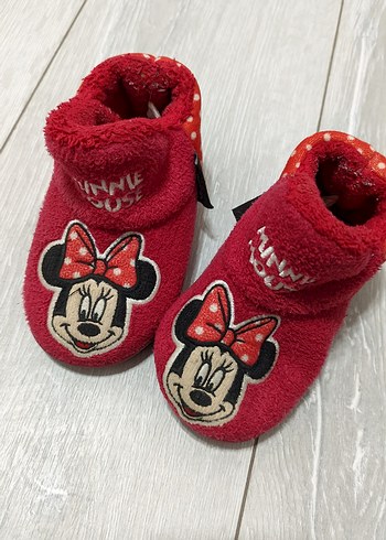 Walt Disney World 27