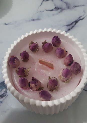 Renkli Sukulent Tasarımlı Mum Seti - Görsel 2