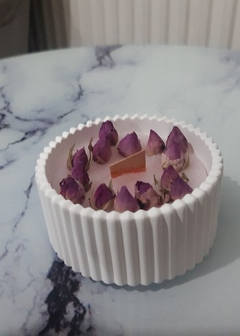 Renkli Sukulent Tasarımlı Mum Seti - Görsel 3