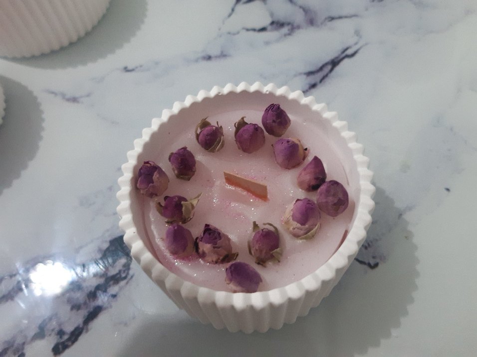 Renkli Sukulent Tasarımlı Mum Seti - Görsel 2