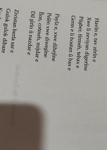 Çemê Stranan - Bermal Çem vintage - Görsel 3