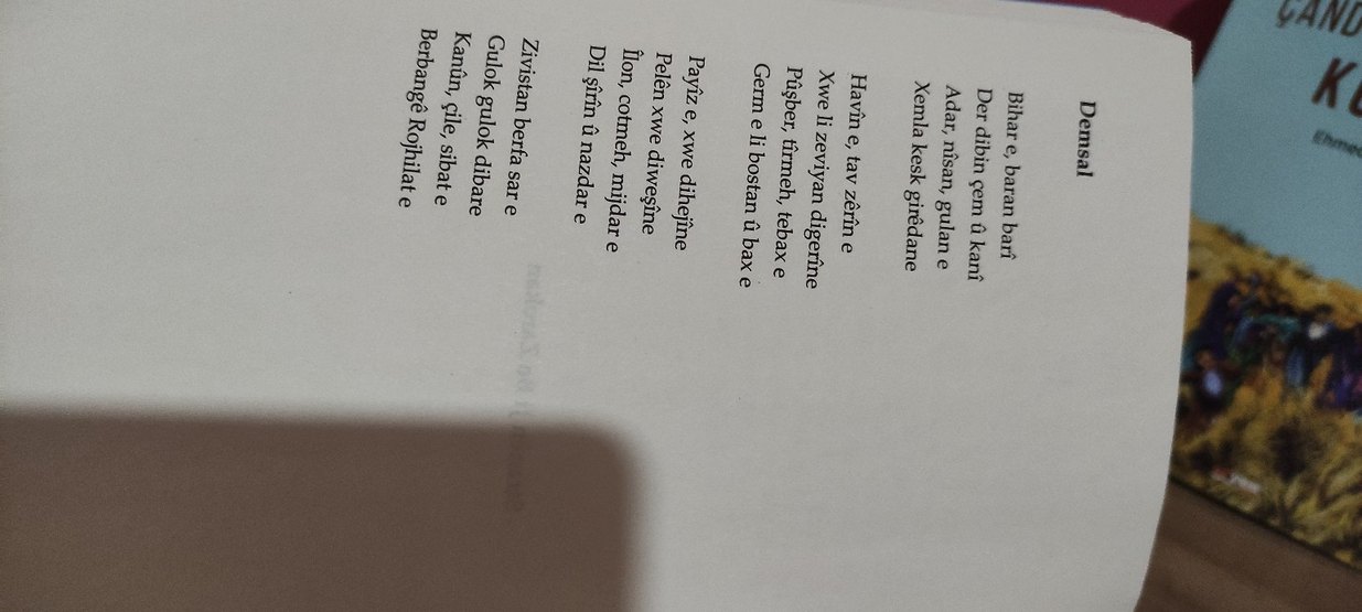 Çemê Stranan - Bermal Çem vintage - Görsel 3