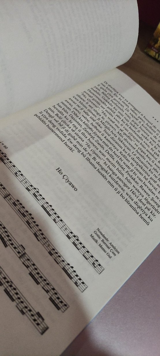 Çemê Stranan - Bermal Çem vintage - Görsel 2