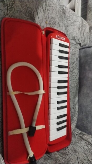 Sahibinden az kullanılmış melodica