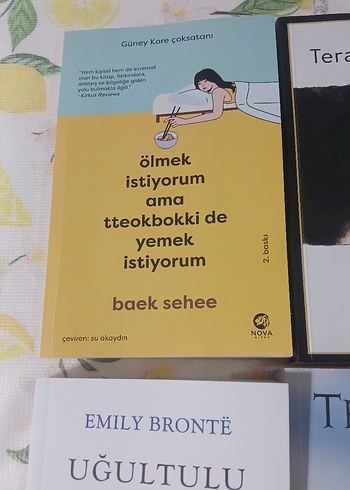 4 Kitap Seti: Terapi, Şiir, Romanlar - Görsel 4
