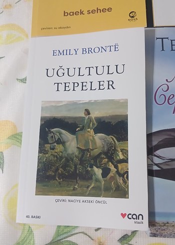 4 Kitap Seti: Terapi, Şiir, Romanlar - Görsel 3