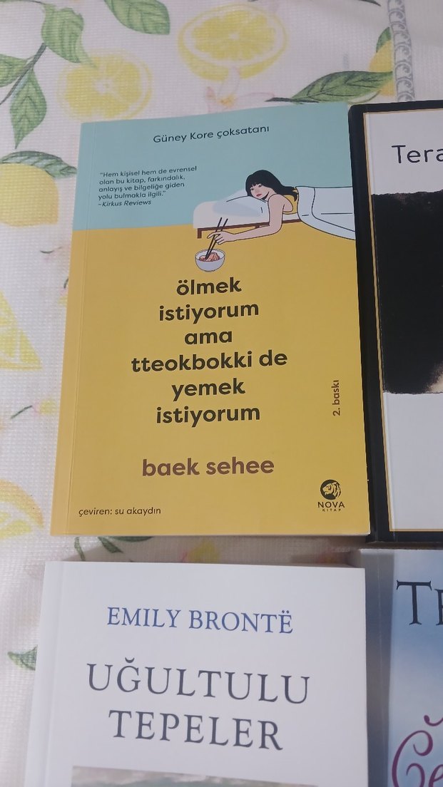 4 Kitap Seti: Terapi, Şiir, Romanlar - Görsel 4