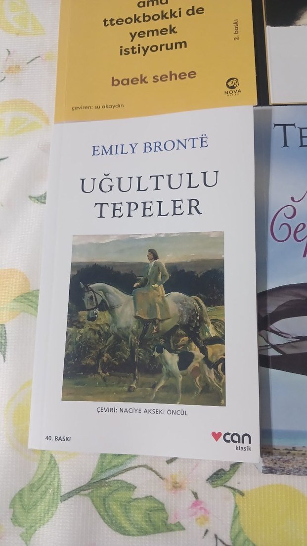 4 Kitap Seti: Terapi, Şiir, Romanlar - Görsel 3