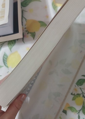 Victoria Alexander - Evlilik Dersi - Görsel 2