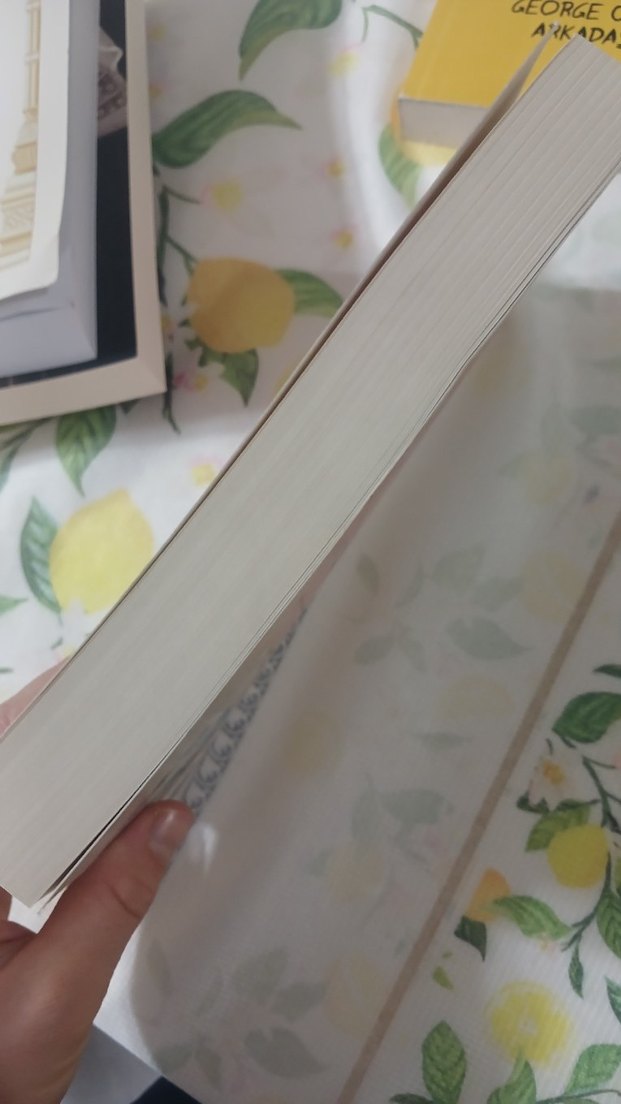 Victoria Alexander - Evlilik Dersi - Görsel 2