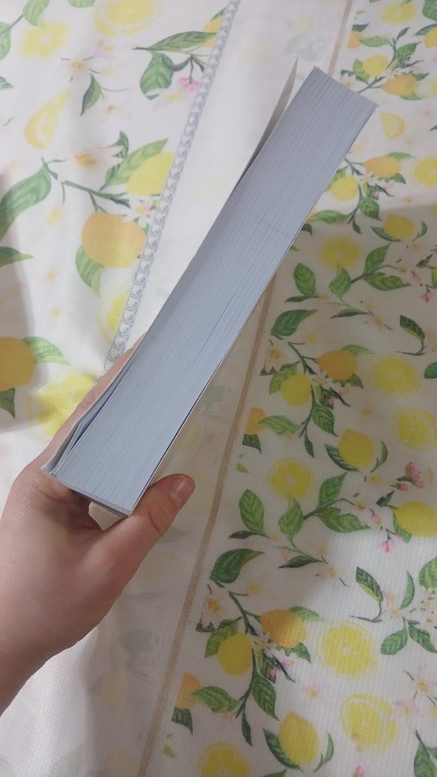 Varlık Bilimi ve Yaşama Sanatı Kitabı - Görsel 2