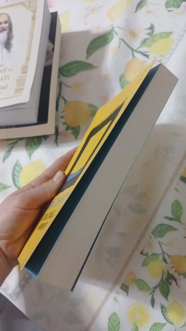 George Orwell Arkadaşımdı - Adam Johnson - Görsel 2