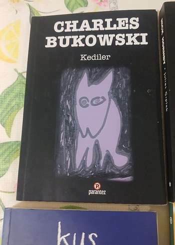 Charles Bukowski, Nick Hornby, Julia Quinn Roman Kitapları - Görsel 4