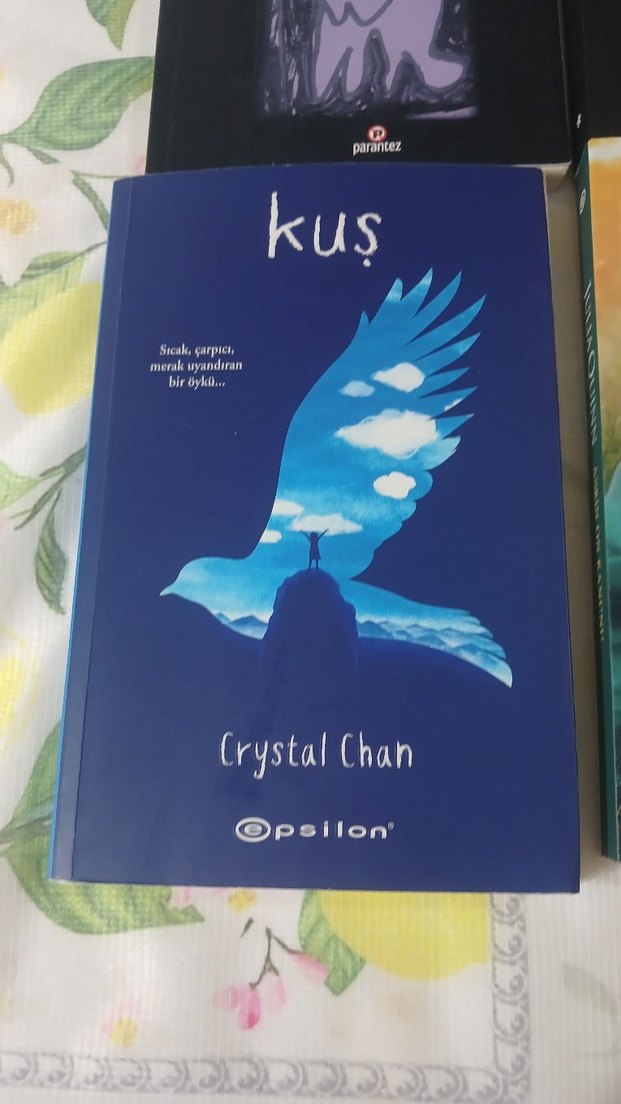 Charles Bukowski, Nick Hornby, Julia Quinn Roman Kitapları - Görsel 3