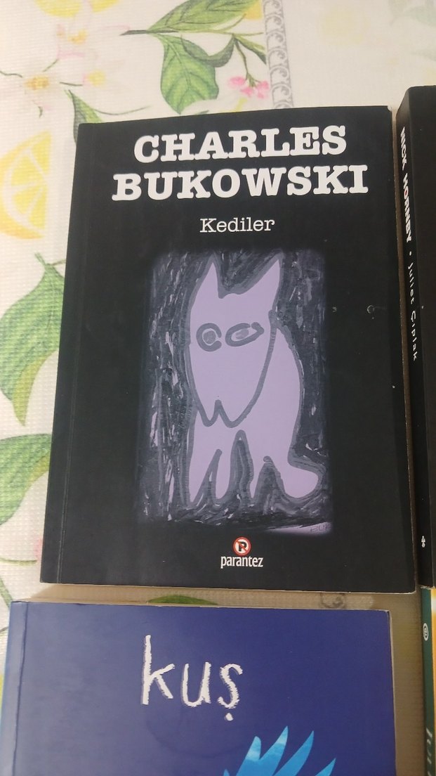 Charles Bukowski, Nick Hornby, Julia Quinn Roman Kitapları - Görsel 4