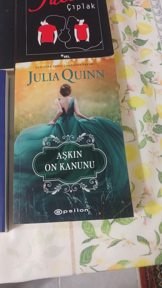 Charles Bukowski, Nick Hornby, Julia Quinn Roman Kitapları - Görsel 2