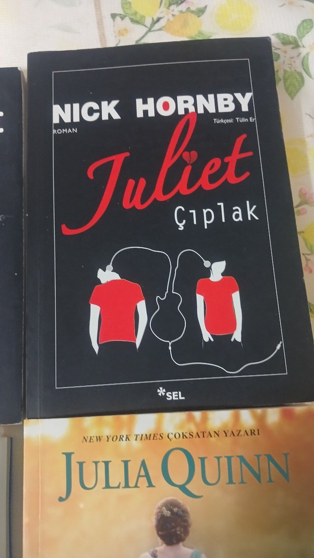 Charles Bukowski, Nick Hornby, Julia Quinn Roman Kitapları - Görsel 5