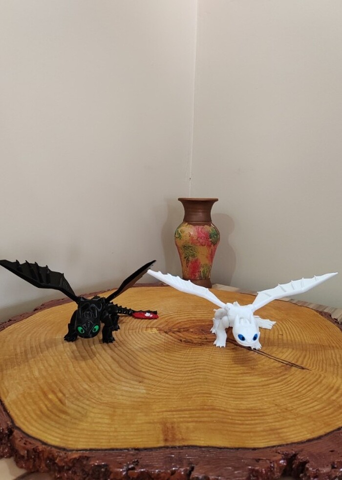 DİŞSİZ VE IŞIĞIN ÖFKESİ - Görsel 2