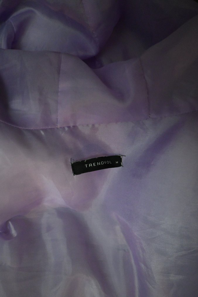 Mor Kapüşonlu Fermuarlı Kadın Şişme Yelek trendyolmilla - Görsel 4