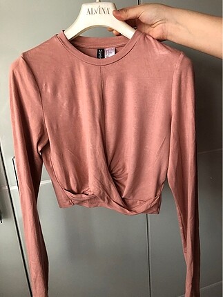 BASİC CROP