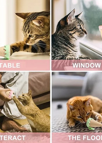 Dondurma Şeklinde Kedi Otu Nanesi - Görsel 4
