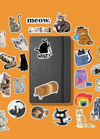 Komikli kedi sticker v2
