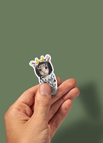 Beden Dojo Cat sticker paketi
