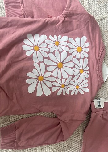 Uzun Kollu Pembe Kız Bebek Takımı4 yaş - Görsel 3