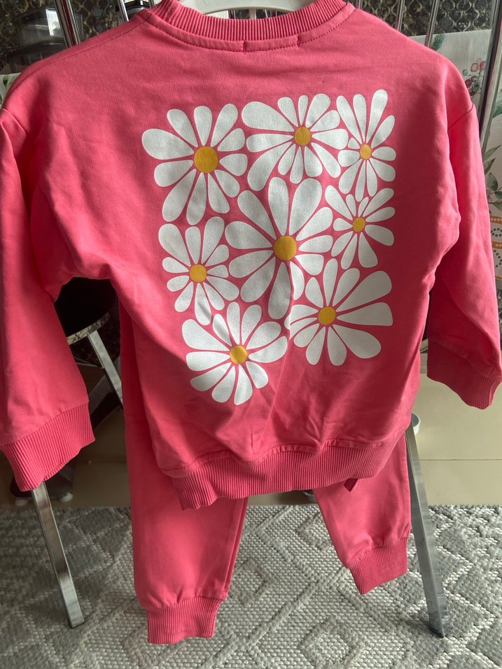 Kız Çocuk Pembe Baskılı Fermuarlı Sweatshirt. 3 yaş - Görsel 3