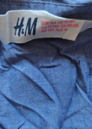 Düğmeli Mavi  Kolsuz  Gömlek - Görsel 2