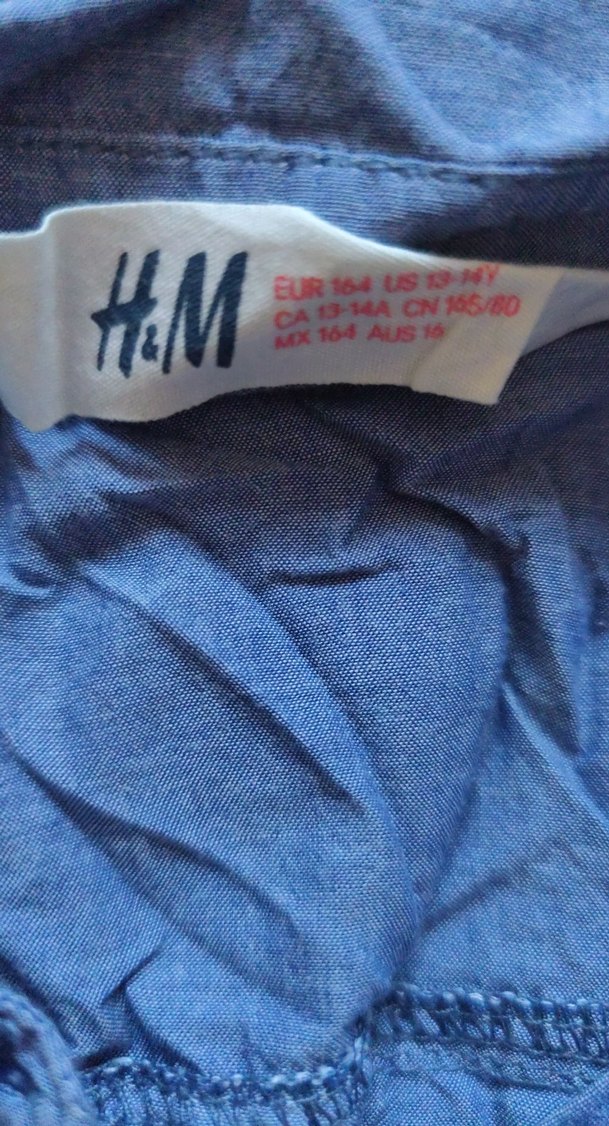 Düğmeli Mavi  Kolsuz  Gömlek - Görsel 2