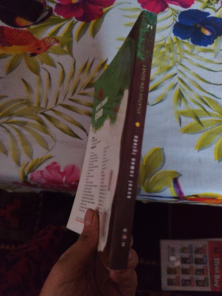 Eflatun Cem Güney - Evvel Zaman İçinde - Görsel 4