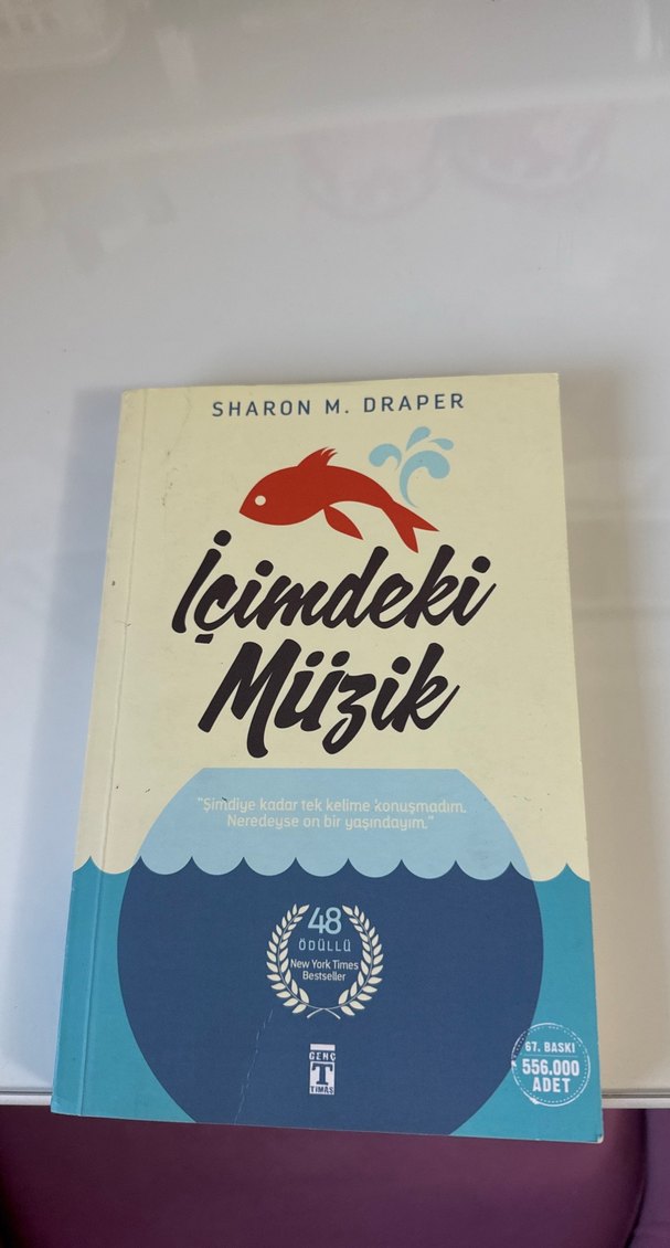 İçimdeki Müzik - Sharon M. Draper - Görsel 4