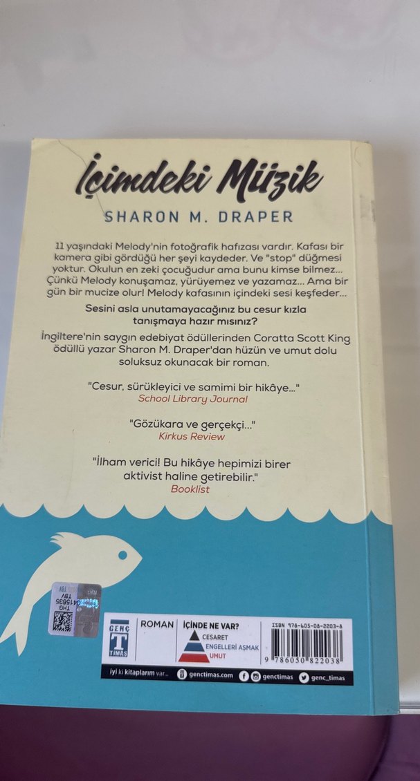 İçimdeki Müzik - Sharon M. Draper - Görsel 2