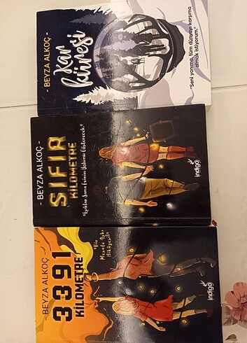 Beyza alkoç kitapları