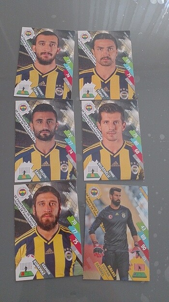 İmzalı Fenerbahçe 14-15 sezon kartları