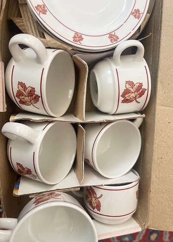 Yaprak Desenli Beyaz Porselen Fincan Takımı - Görsel 2