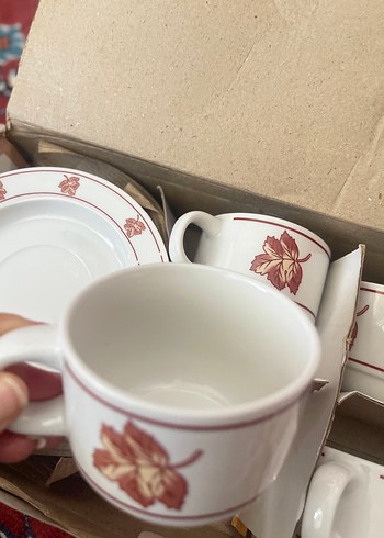 Yaprak Desenli Beyaz Porselen Fincan Takımı - Görsel 6