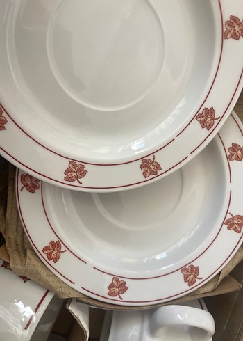 Yaprak Desenli Beyaz Porselen Fincan Takımı - Görsel 3