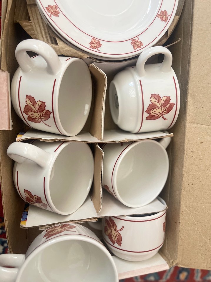 Yaprak Desenli Beyaz Porselen Fincan Takımı - Görsel 2