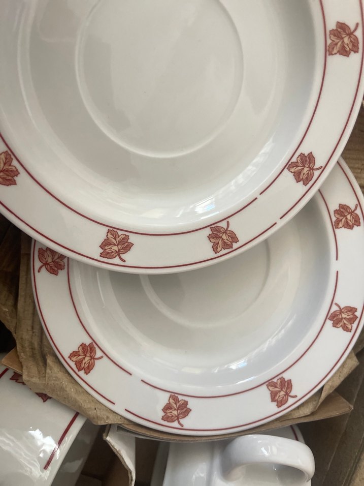 Yaprak Desenli Beyaz Porselen Fincan Takımı - Görsel 3