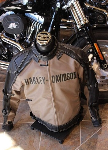 Harley davidson mont
