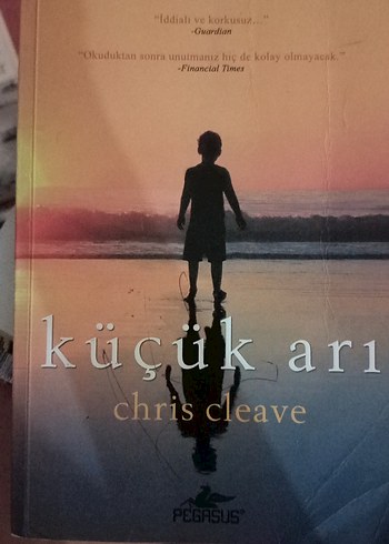 Küçük Arı - Chris Cleave