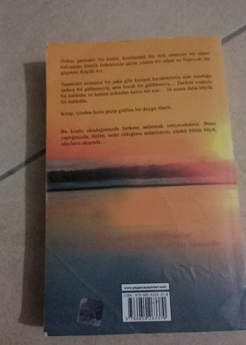 Küçük Arı - Chris Cleave