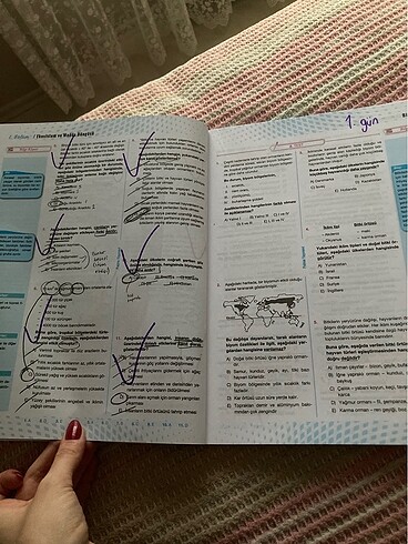 Beden palme ayt coğrafya