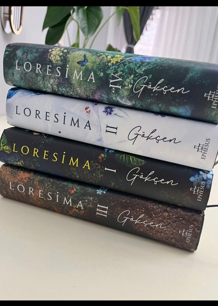 Gökçen serisi  - Görsel 2