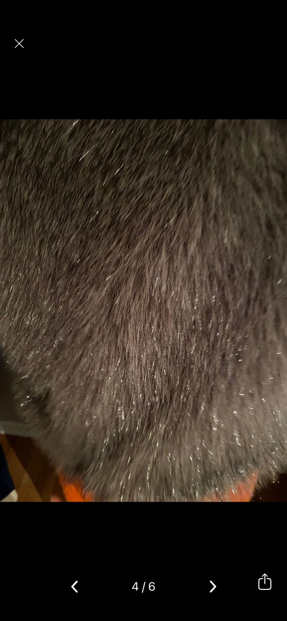 Gri Kadın Kürklü Midi Ceket - Görsel 4