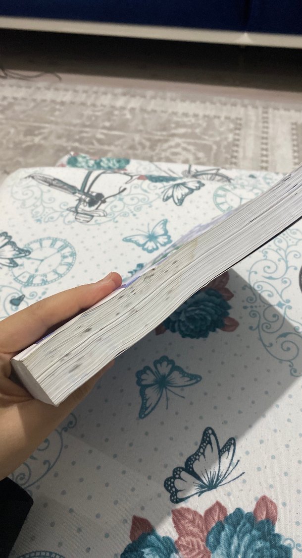 Sosyal Bilgiler Öğretimi Kitabı - Prof. Dr. Ramazan Sever - Görsel 3